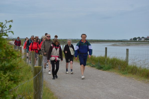 4 Baie de Somme (4)